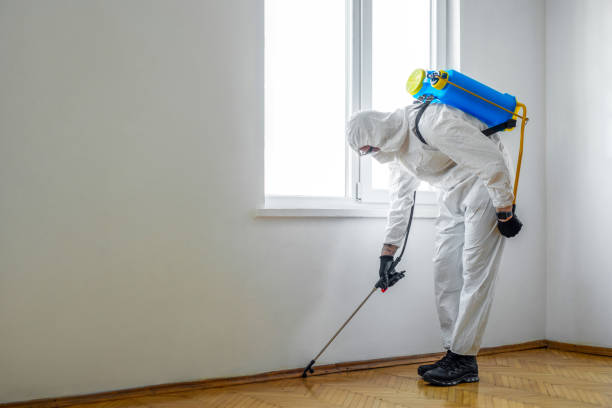 Best Pest Exclusion Services  in Paramus, NJ